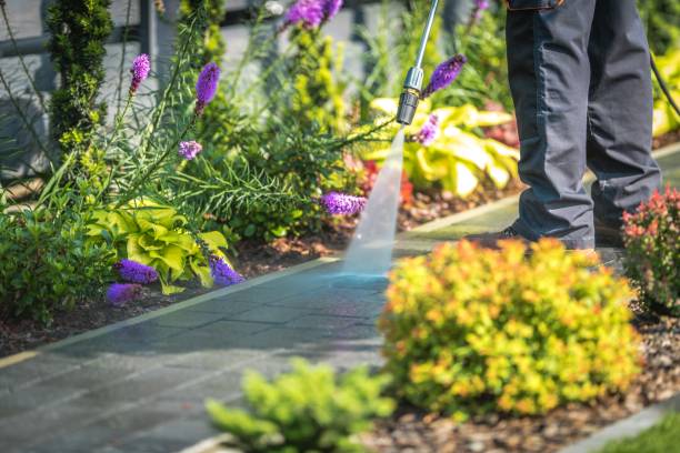 Reliable Maunawili, HI Pressure Washing Solutions