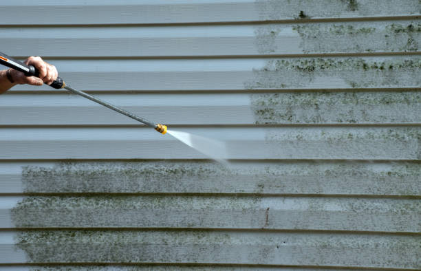 Best Gutter Cleaning  in Maunawili, HI